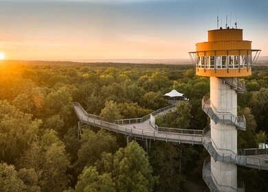 Baumkronenpfad Nationalpark Hainich | © Tino Sieland, Kur und Tourismus Bad Langensalza  GmbH
