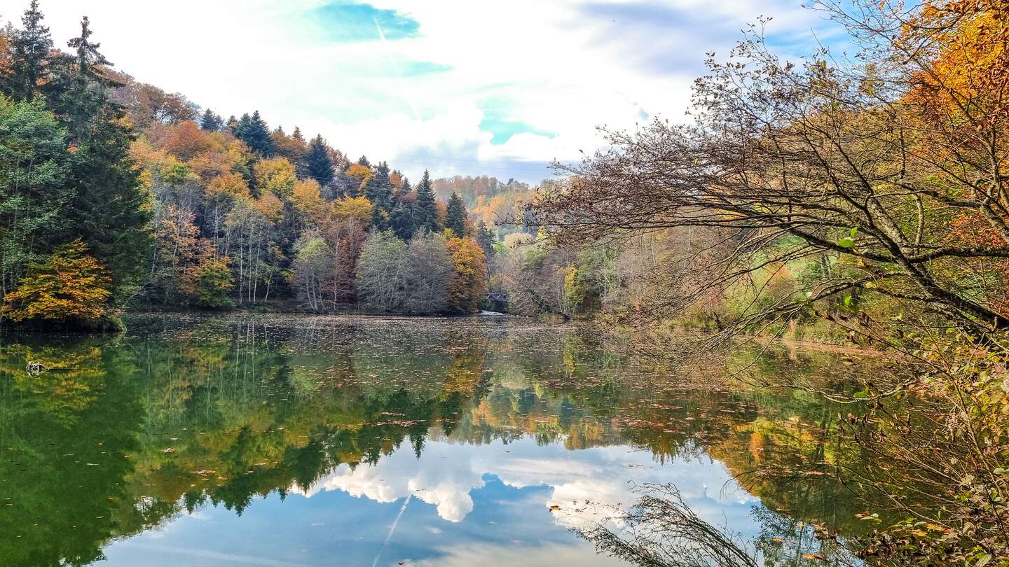Kanton Waadt Wald im Arbotreum Aubonne  | © De beaux Lents demains