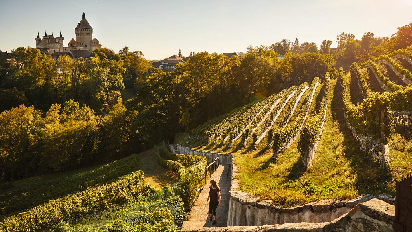 Weinbergwanderung rund um Morges im Kanton Waadt | © Suisse Tourisme