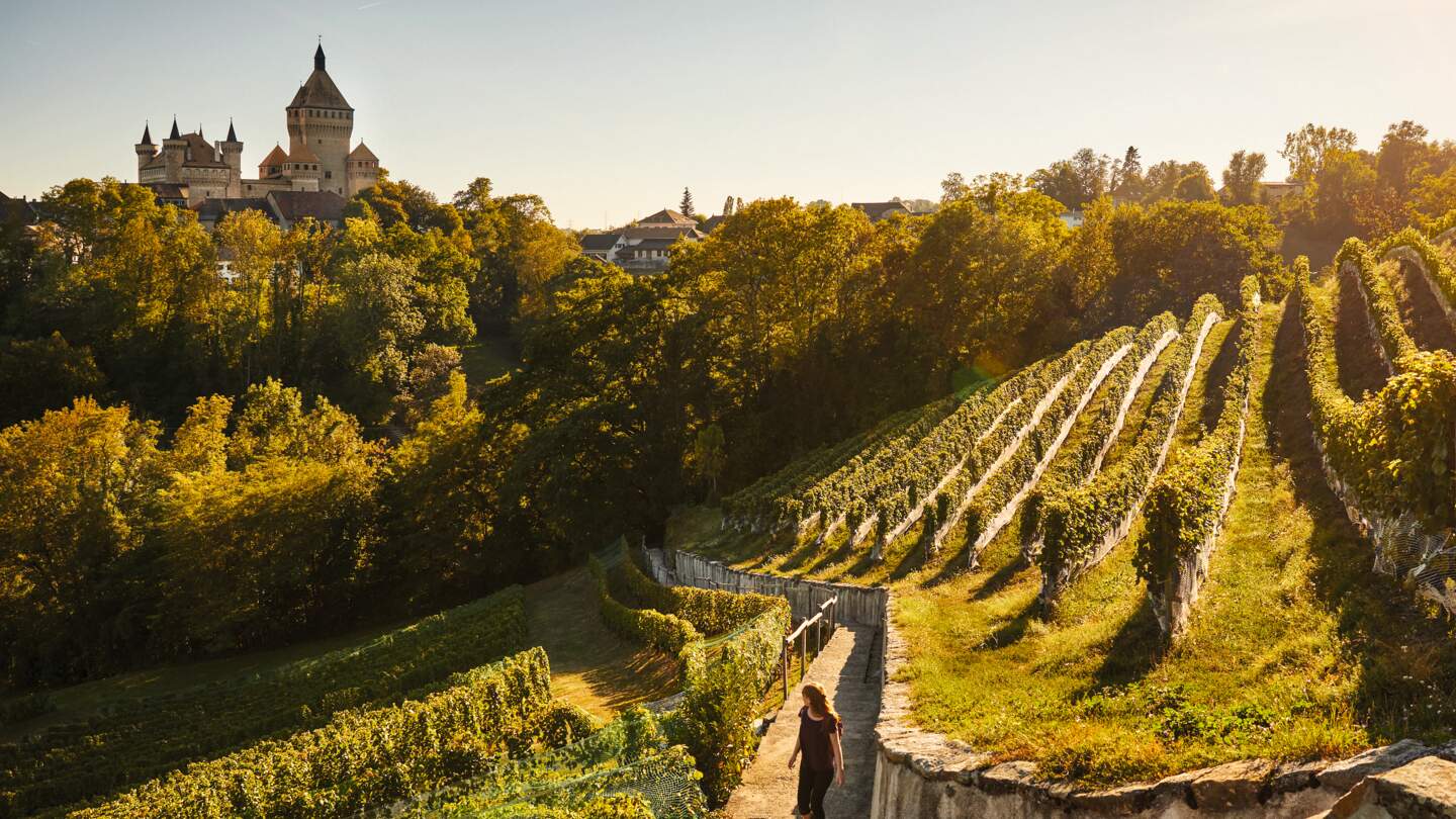 Weinbergwanderung rund um Morges im Kanton Waadt | © Suisse Tourisme