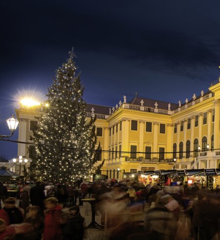 Abendlicher Kultur- und Weihnachtsmarkt am Schloss Schönbrunn in Wien | © © WienTourismus/Christian Stemper