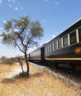 Der African Explorer fährt durch die Wüste in Afrika. | © © Julia Nieratschker