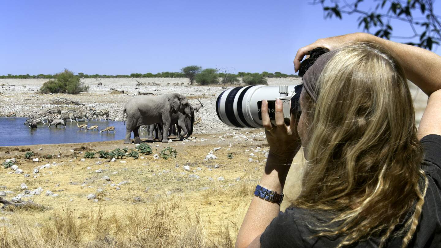 Fotografin, die ein Bild an einem Wasserloch im Etosha-Nationalpark in Namibia  während einer Reise im African Explorer aufnimmt. | ©  Gettyimages.com/nicolamargaret
