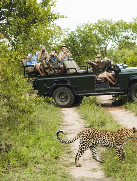 Leopard auf Straße mit Touristen im Hintergrund im Krüger Nationalpark  während einer Reise im African Explorer | © © Gettyimages.com/IPGGutenbergUKLtd