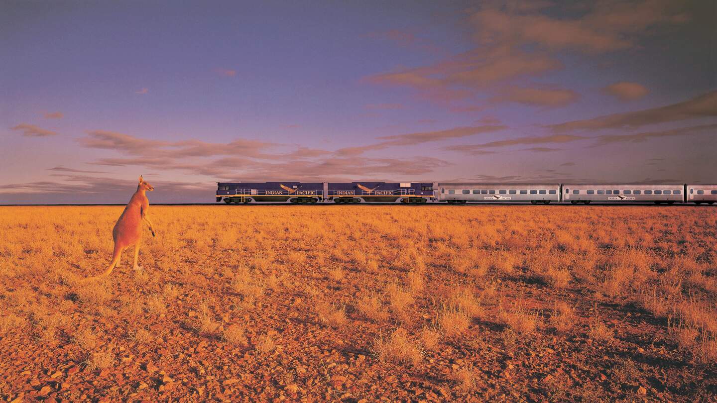 Ein Känguru steht im weiten, offenen Feld des australischen Outbacks, während im Hintergrund ein langer Passagierzug vorbeifährt | © Copyright 2004 Adobe Systems, inc