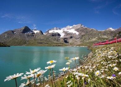 Im Panoramawagen des Bernina Expresses am Lago Bianco im Fruehling in der Schweiz | © Rhätische Bahn/Christoph Benz