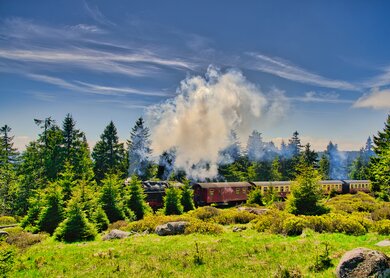 Brockenbahn auf ihrem dem Weg auf den Brocken | © Gettyimages.com/ezypix