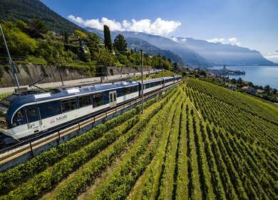 Die GoldenPass Line fährt durch die Weinberge in der Schweiz.  | ©  VALENTIN FLAURAUD / VFPIX.COM