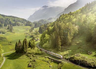 Der Luzern Interlaken Express faehr durch das gruene Haslital | © Zentralbahn