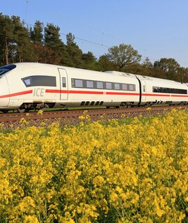 ICE in der Natur | © Deutsche Bahn AG