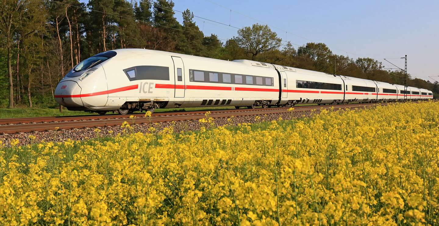 ICE in der Natur | © Deutsche Bahn AG