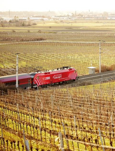 OBB Richtung Zukunft Zug faehrt vorbei an Reben | © ÖBB/Andreas Scheiblecker