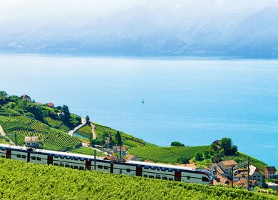 InterRegio Zug in der Nähe von Weinbergterrassen von Lavaux am Genfersee und den Schweizer Alpen | © Gettyimages.com/RomanBabakin