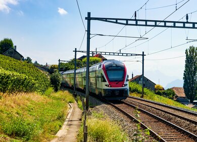  RegioExpress Zug der SBB im Weinbergterrassen von Lavaux, Bezirk Lavaux-Oron in der Schweiz | © Gettyimages.com/RomanBabakin