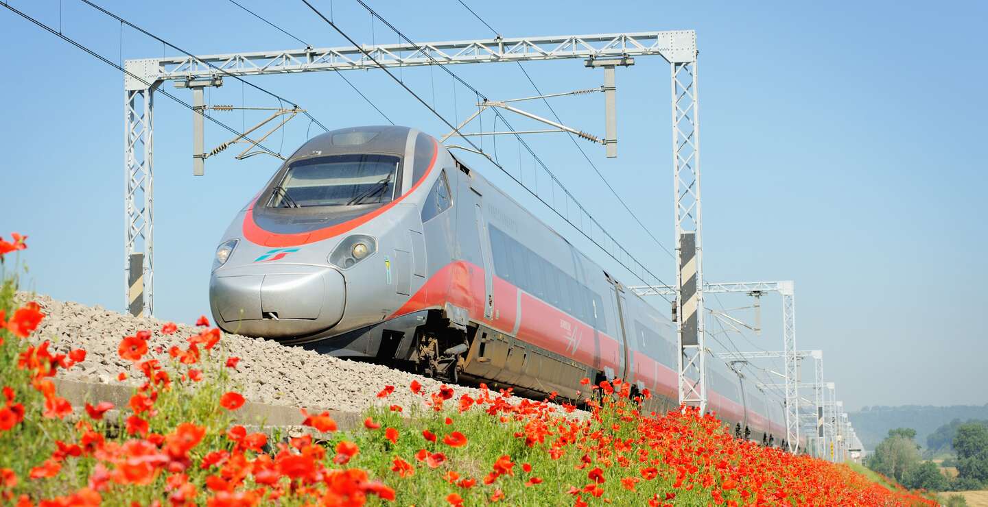 Frecciargento Zug von Trenitalia vor einem Mohnblumenfeld | © Trenitalia