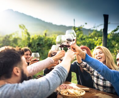 Freunde beim Rasten in den Weinbergen | ©  Gettyimage/franckreporter