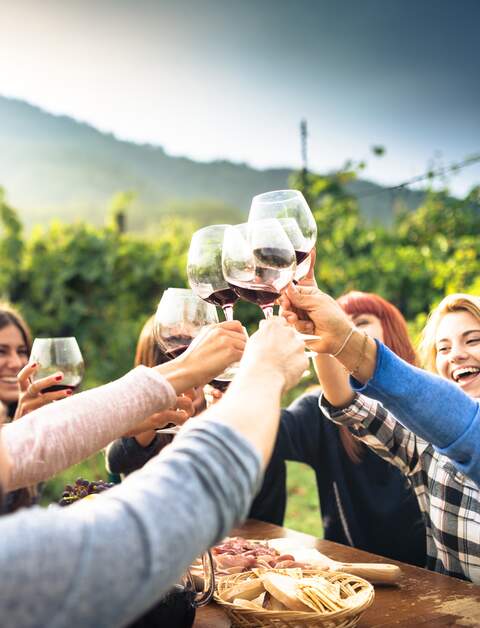 Freunde beim Rasten in den Weinbergen | ©  Gettyimage/franckreporter