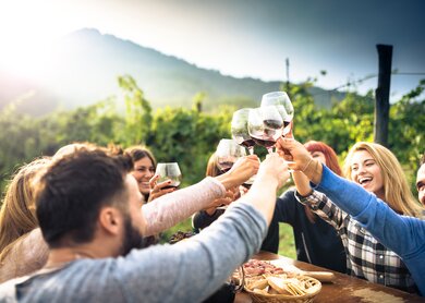 Freunde beim Rasten in den Weinbergen | ©  Gettyimage/franckreporter