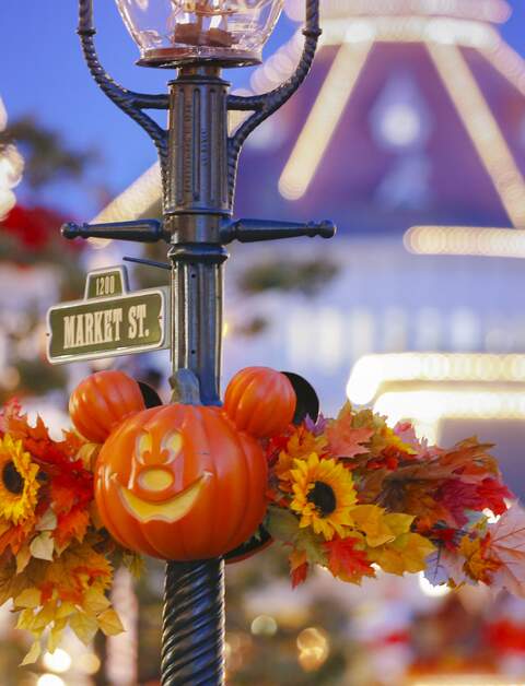 Halloween Dekoration Kuerbis Micky Maus in Disneyland  Park  | © Disney