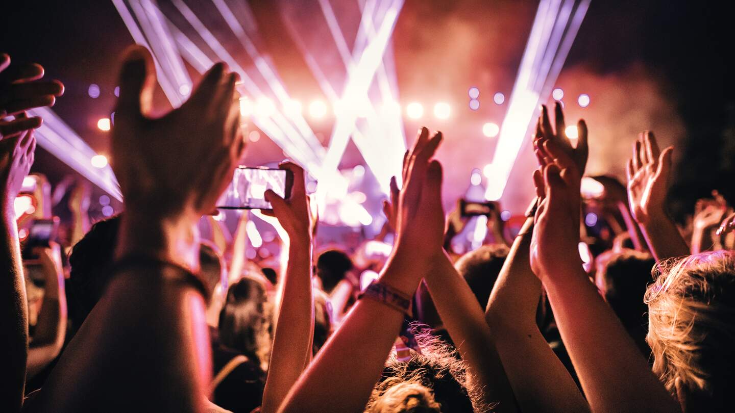 Rückansicht einer Gruppe von Menschen bei einem Konzert | © gettyimages.com/gilaxia