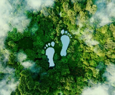 Fussabdruecke-See im Wald als Metapher fuer den Einfluss menschlicher Aktivitaeten. | © Gettyimages.com/	Petmal