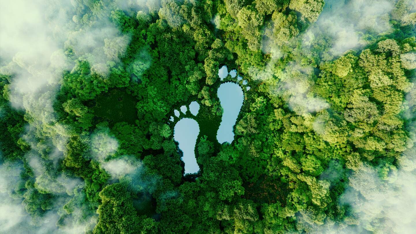 Fussabdruecke-See im Wald als Metapher fuer den Einfluss menschlicher Aktivitaeten. | © Gettyimages.com/	Petmal