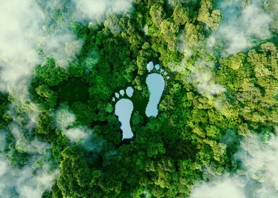 Fussabdruecke-See im Wald als Metapher fuer den Einfluss menschlicher Aktivitaeten. | © Gettyimages.com/	Petmal
