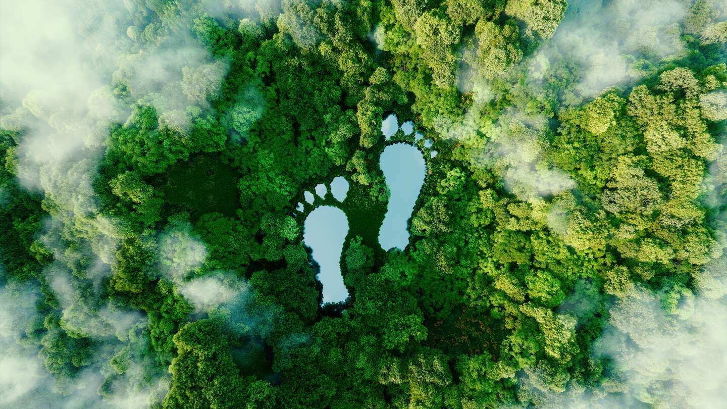 Fußabdrücke-See im Wald als Metapher für den Einfluss menschlicher Aktivitäten. | © Gettyimages.com/	Petmal
