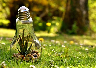 Umwelt Naturschutz Nachhaltigkeit | © Pixabay/AlexasFotos