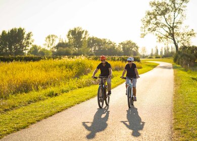 Zwei glueckliche Seniorenpaare im Alter von 70 bis 75 Jahren radeln auf Elektrofahrrädern auf Radwegen durch flache laendliche Landschaft | © gettyimages.com/ amriphoto