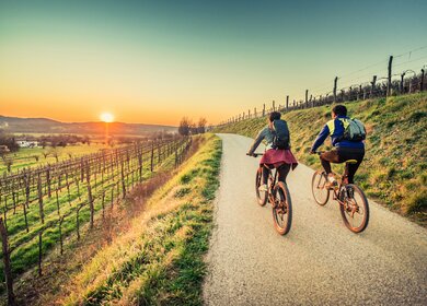 Paar faehrt Fahrraedern auf einem Weg am Weinfeld in Richtung Sonnenuntergang | © GettyImages.com/egon69