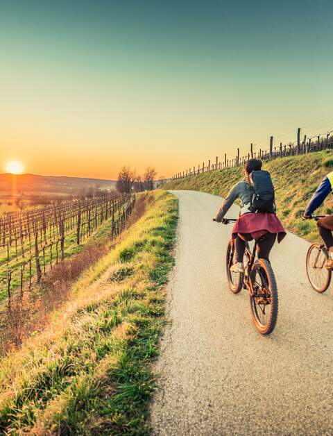 Paar fährt Fahrrädern auf einem Weg am Weinfeld in Richtung Sonnenuntergang | © GettyImages.com/egon69