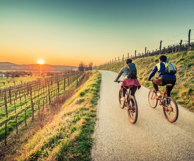 Paar faehrt Fahrraedern auf einem Weg am Weinfeld in Richtung Sonnenuntergang | © GettyImages.com/egon69