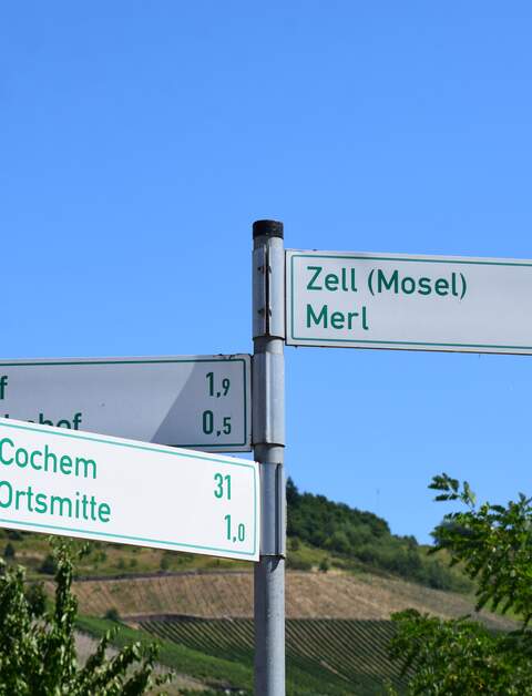 Wegschilder an einem Weinberg an der Mosel mit den Richtungen Zell, Cochem und Alf | © Gettyimage/Markus Volk