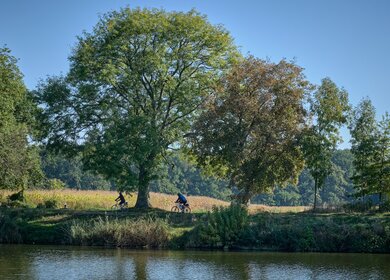 Radfahrer an der Elbe | © © Gettyimage/Jan Nevidal
