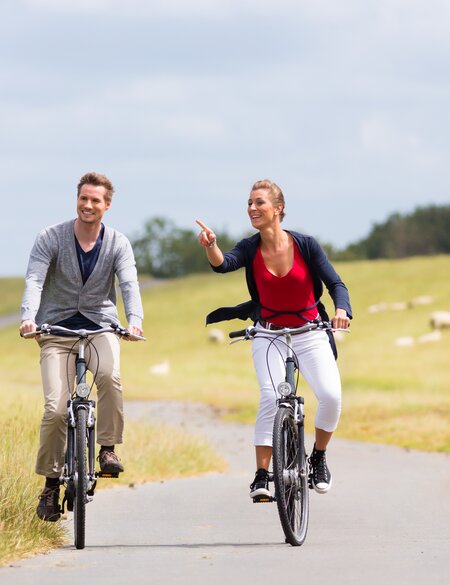 Paar faehrt auf Fahrraedern an der Kueste am Deich mit Schafen im Hintergrund und die Frau zeigt auf etwas das sich vor ihr befinden muss | © GettyImages.com/kzenon