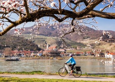 Radfahrer am Ufer der Donau mit dem Ort Spitz in der Wachau im Hintergrund  | © Gettyimages.com