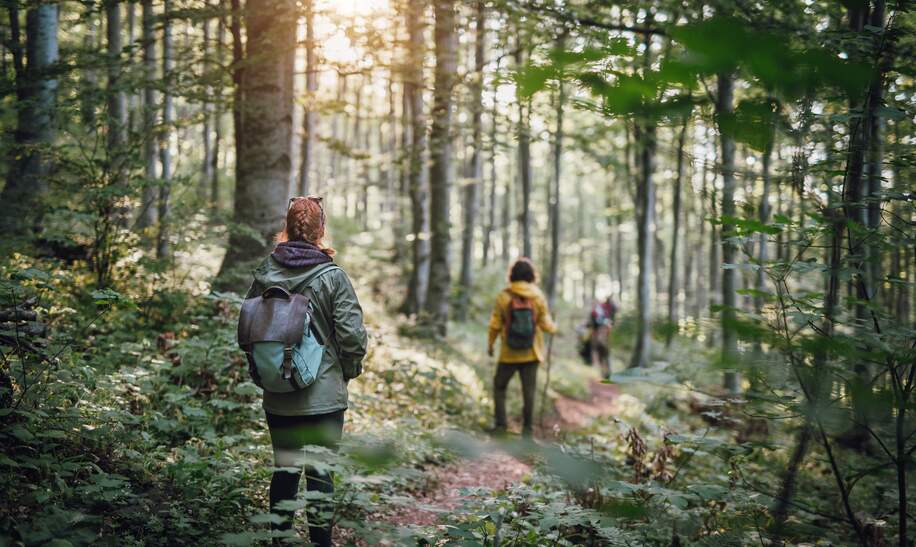 Gruppe von jungen Freunden Wanderer mit Rucksaecken in den Wald | © Gettyimages.com/hobo_018