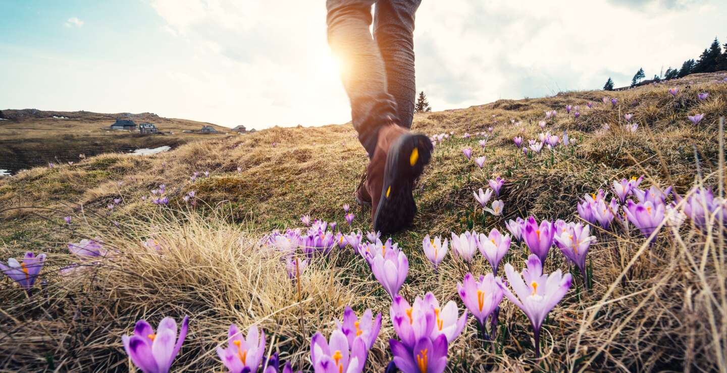 Frau wandert in den Bergen über Blumenwiese