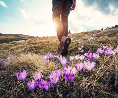 Frau wandert in den Bergen über Blumenwiese