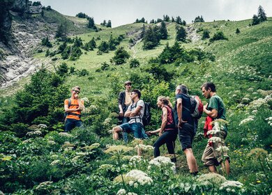 Blick auf Freunde, die durch grasbewaschsene Wiesen wandern  | © gettyimages.com/AscentXmedia