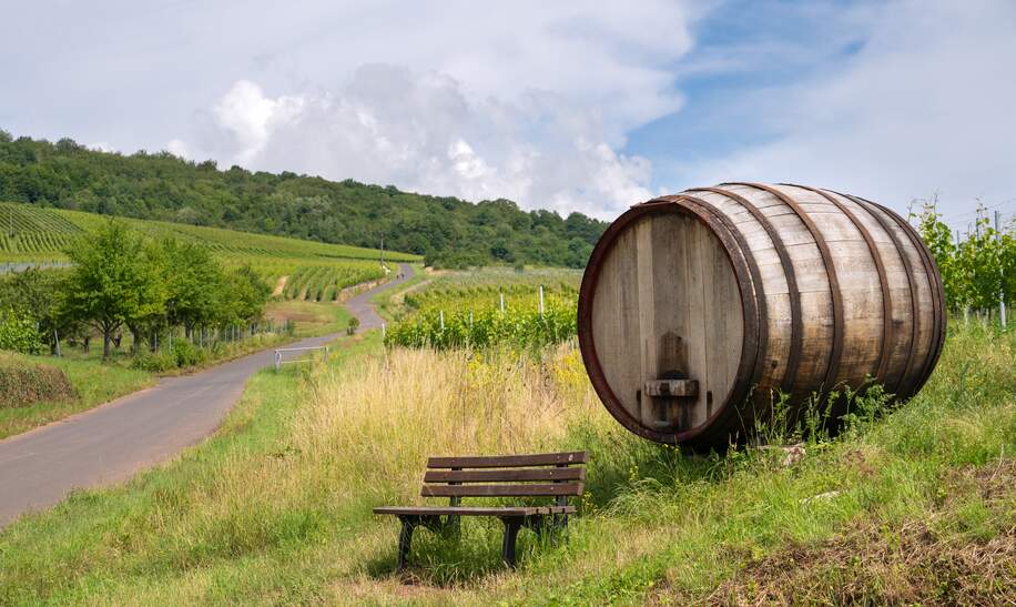 Wanderweg Moselsteig bei Ellenz-Poltersdorf durch Weinberge mit Parkbank und grossem Holzfass im Vordergrund | ©  Gettyimages.com/AL-Travelpicture