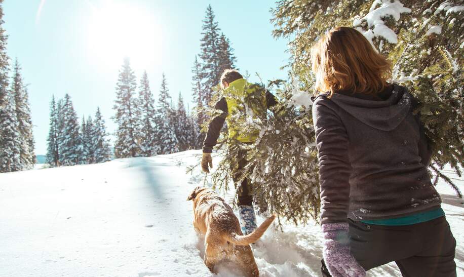 Ein junges Paar und ein Hund, die einen geschnittene Weihnachtsbaum durch den tiefen Schnee in einer Berglandschaft tragen | © gettyimages.com/JeremyPoland