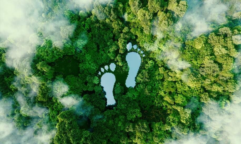 Fussabdruecke-See im Wald als Metapher fuer den Einfluss menschlicher Aktivitaeten. | © Gettyimages.com/	Petmal