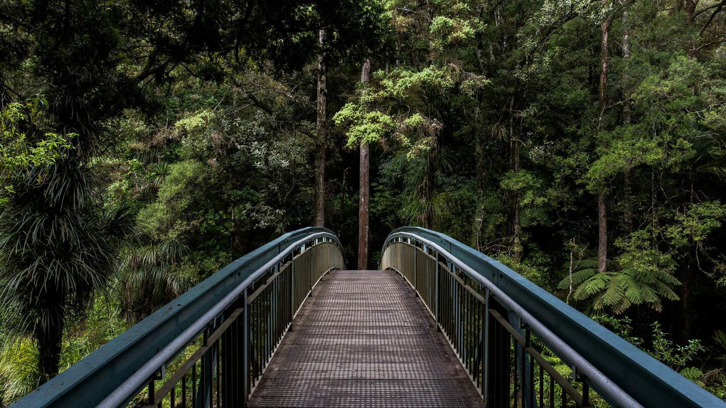Stahlbrücke im Wald | © Unsplash/Tim Swaan