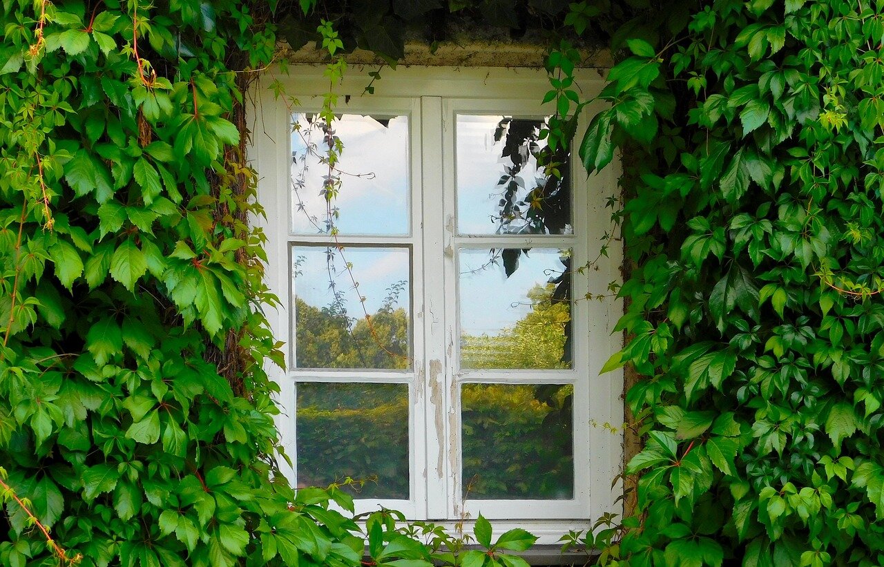 Fenster an einem begrüntem Haus | © Pixabay.com/AngelikaGraczyk