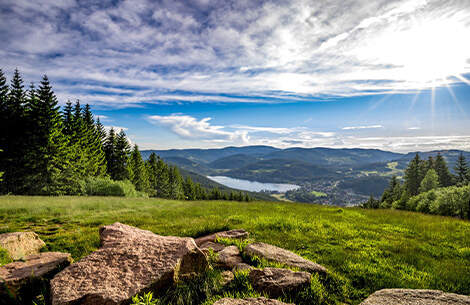 hochfirst titisee | © ©hochschwarzwald-tourismus-gmbh