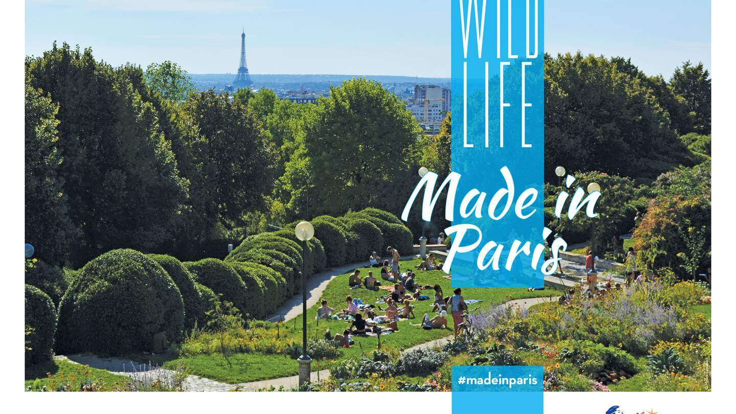 Wild life - Made in Paris