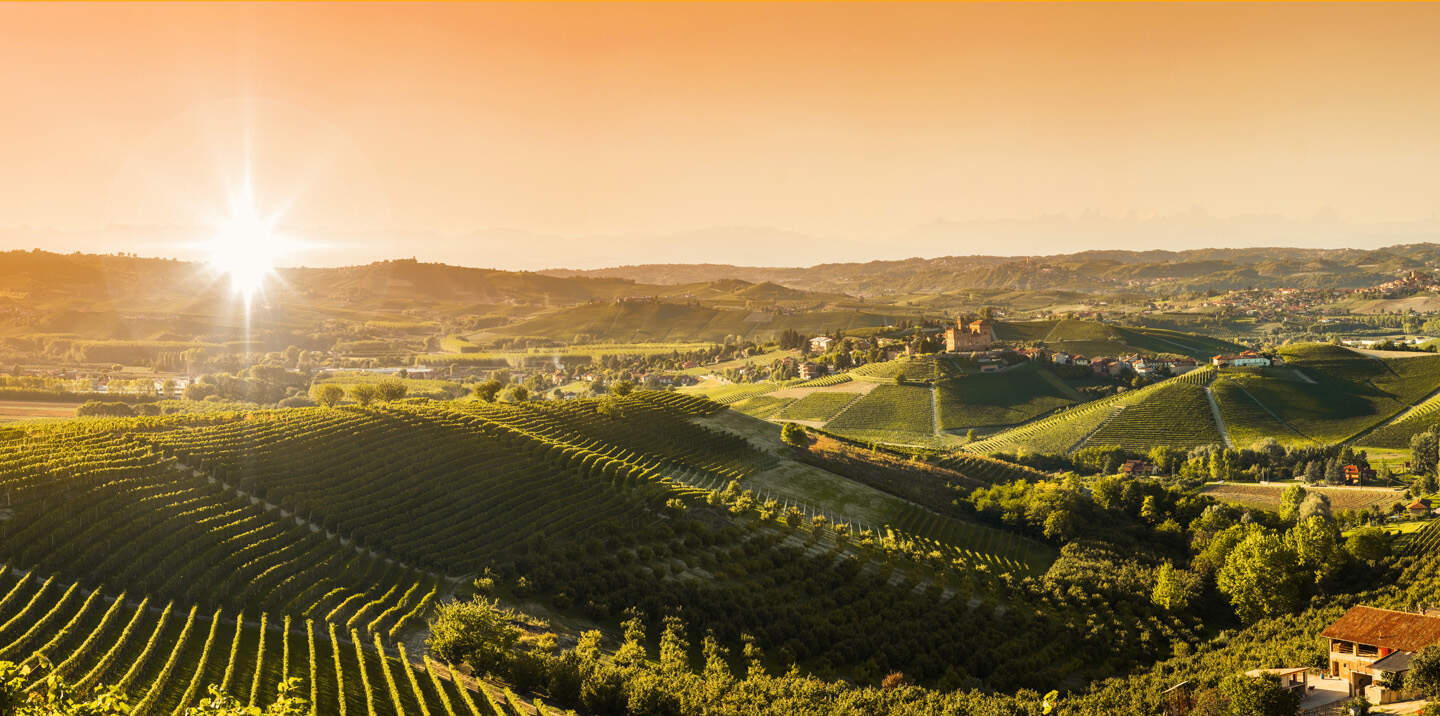 Panorama der Weinberge im Piemont | © © Giorgio Pulcini/Fotolia.com