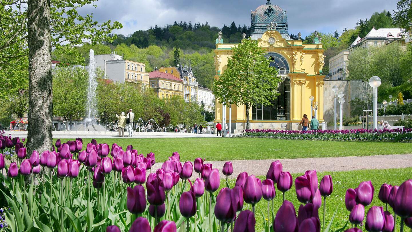 Springbrunnen und Tulpen in Marienbad | © © kaprikfoto/Fotolia.com
